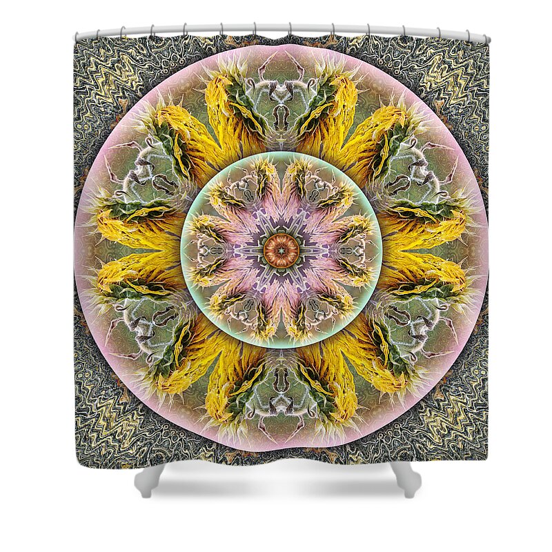 Symbolism Mandalas Shower Curtain featuring the digital art Jitterbug by Becky Titus