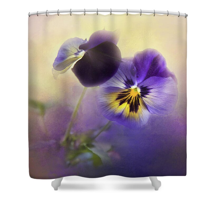 Viola Shower Curtain featuring the photograph Johnny Jump Up by Theresa Tahara