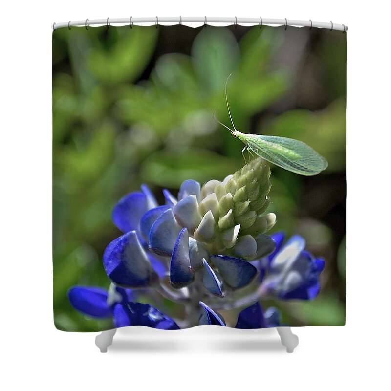 Bluebonnets Shower Curtain featuring the photograph Jolly Green Giant by Donna Shahan