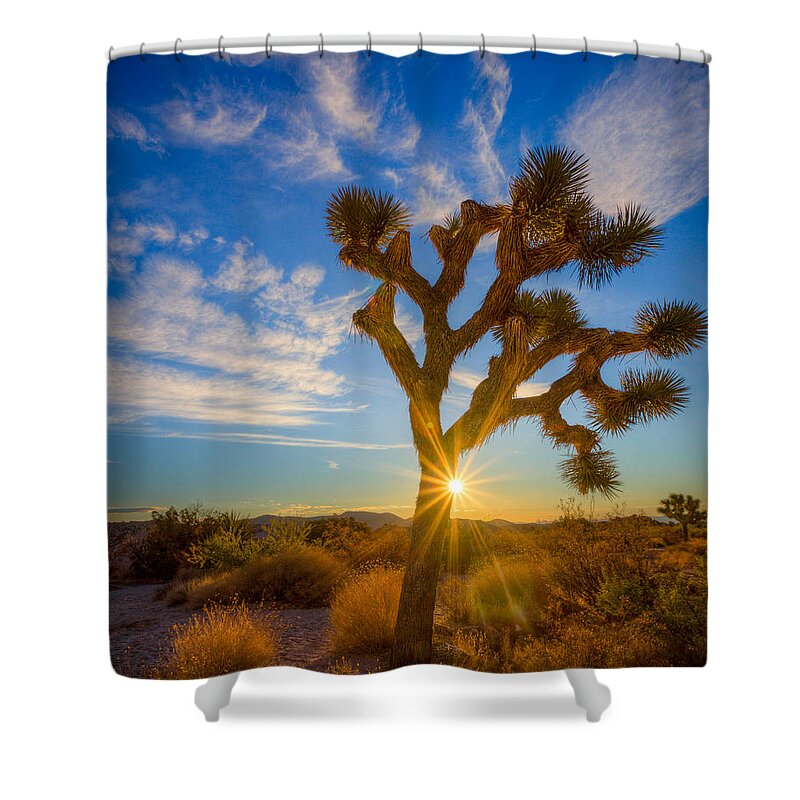 California Shower Curtain featuring the photograph Joshua Eclipse by Rikk Flohr