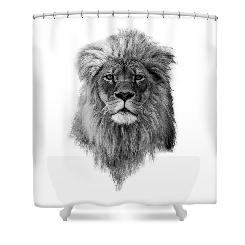 Lion Shower Curtain featuring the photograph Joshua in Black and White by Everet Regal