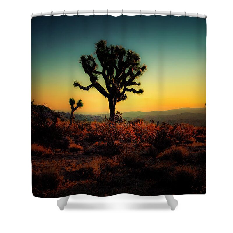 Joshua Tree National Park Shower Curtain featuring the photograph Joshua Tree at Sunrise by Sandra Selle Rodriguez