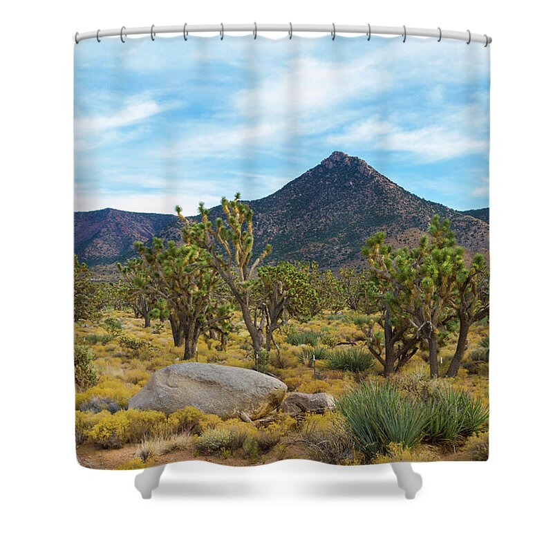 Joshua Tree Forest Shower Curtain featuring the photograph Joshua Tree Forest by Bonnie Follett