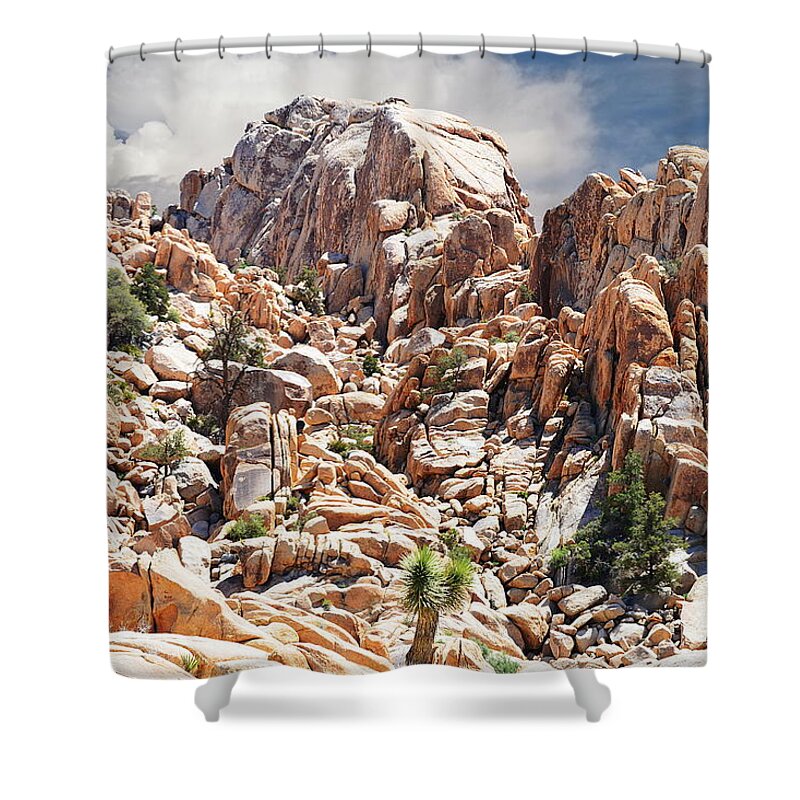 Joshua Tree National Park Shower Curtain featuring the photograph Joshua Tree National Park - Natural Monument by Glenn McCarthy Art and Photography