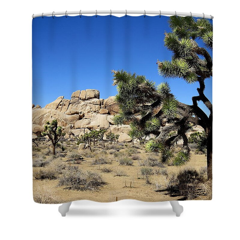Joshua Tree Shower Curtain featuring the photograph Joshua Tree Photograph by Kimberly Walker