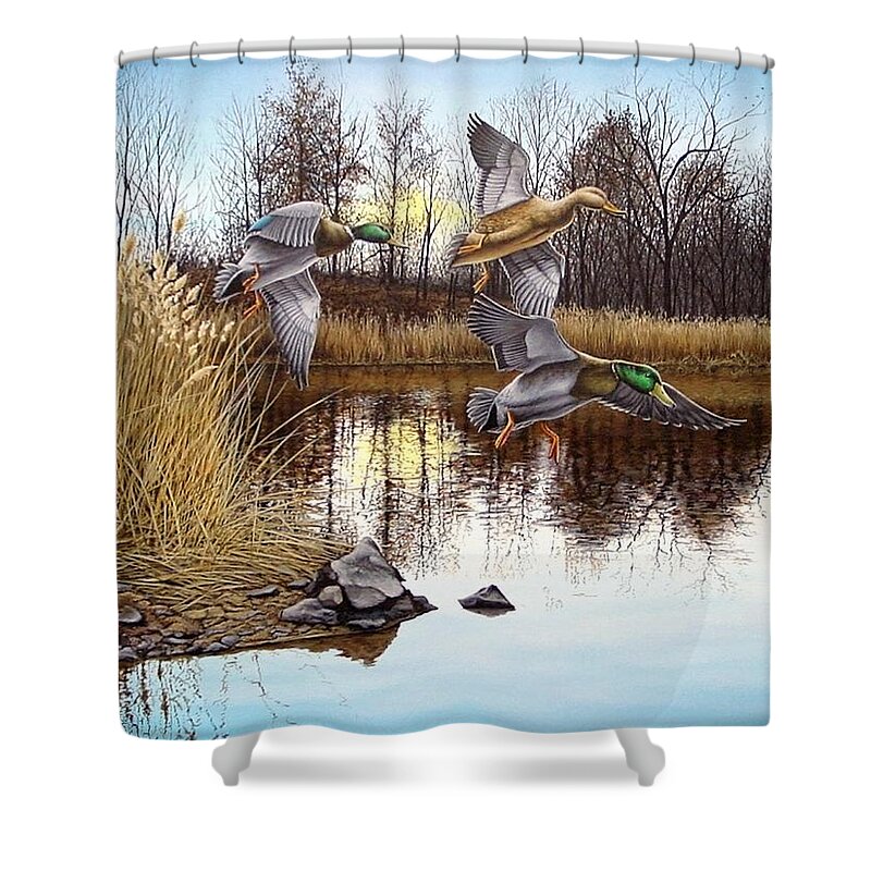 Duck Shower Curtain featuring the painting Journey's End by Anthony J Padgett