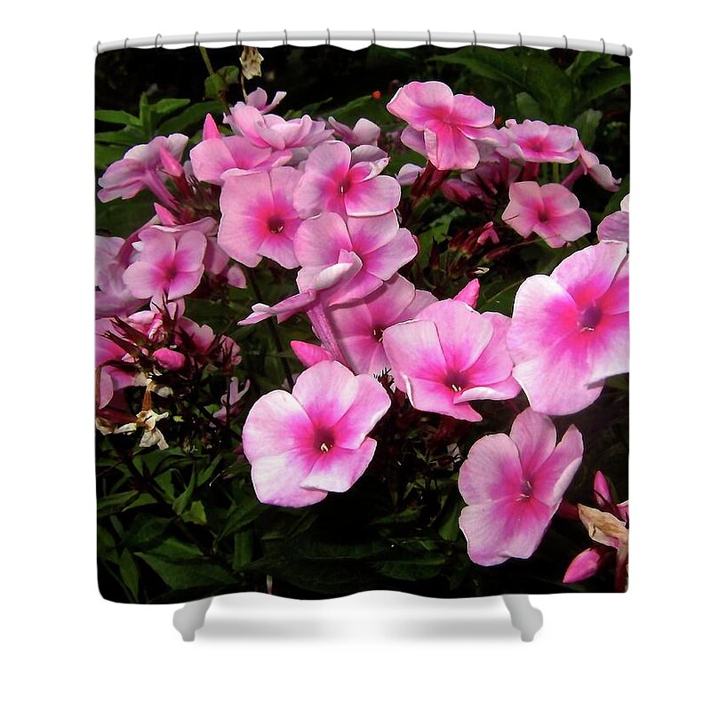 Blossoms Shower Curtain featuring the photograph Joy Comes Softly by Elizabeth Tillar