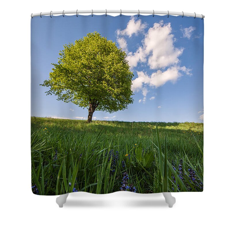 Landscape Shower Curtain featuring the photograph Joy by Davorin Mance