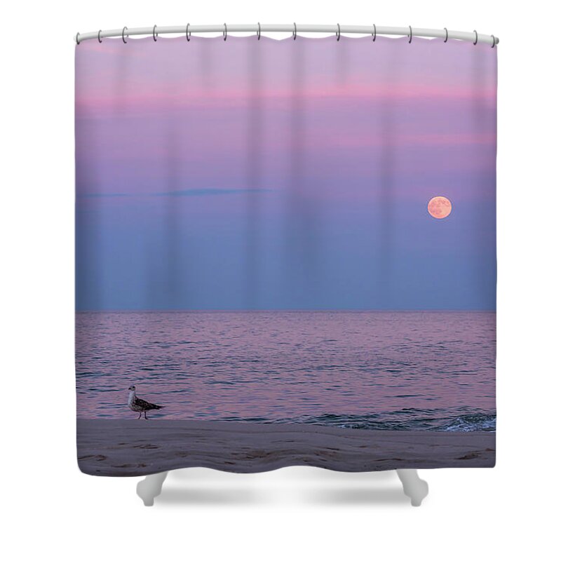 Terry D Photography Shower Curtain featuring the photograph July Full Moon 2016 Lavallette NJ by Terry DeLuco