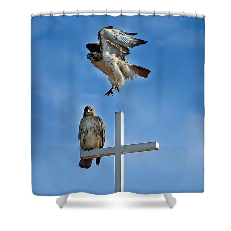Hawk Shower Curtain featuring the photograph Jump by Jackson Pearson