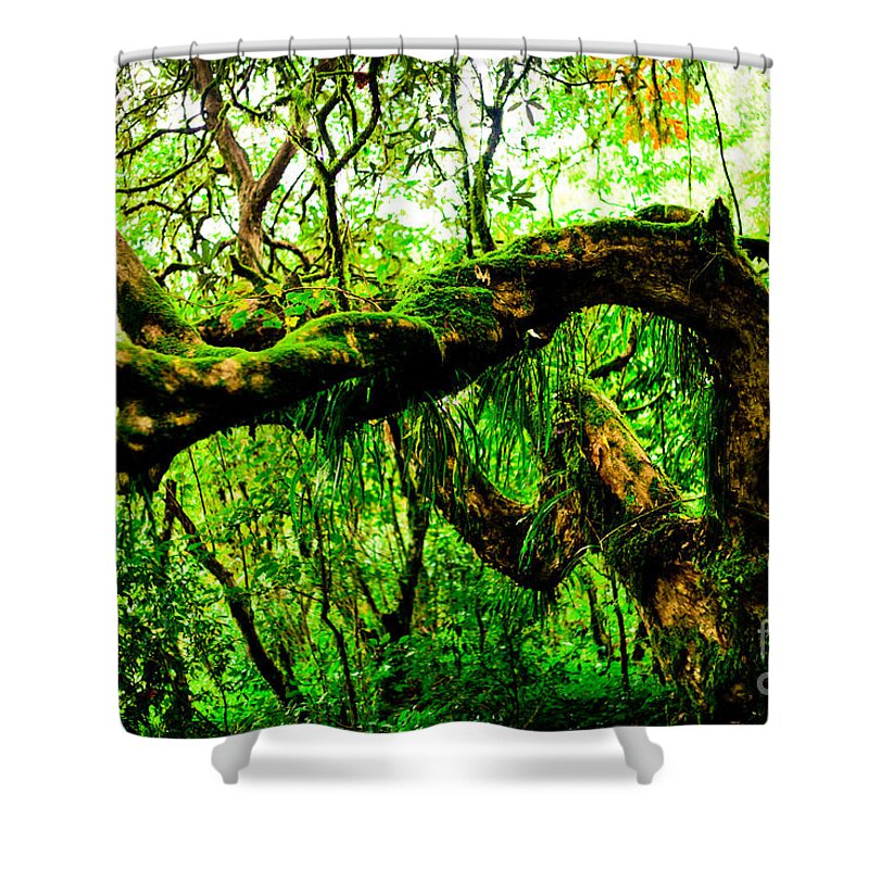 Annapurna Shower Curtain featuring the photograph Jungle forest Himalayas mountain NEPAL by Raimond Klavins