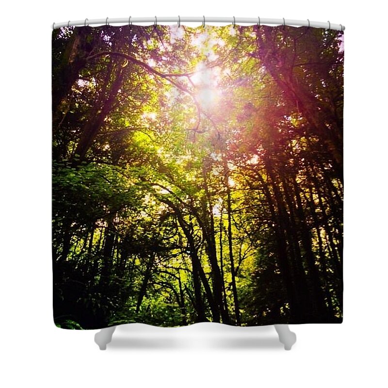 Jungle Shower Curtain featuring the photograph Jungle Sun by Trystan Oldfield