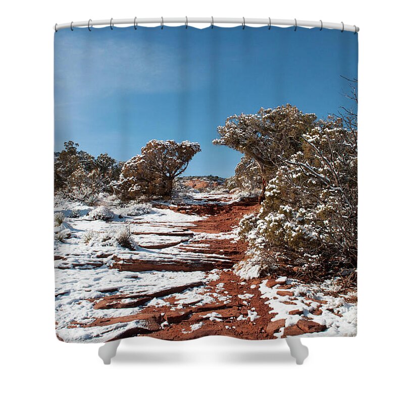 Desert Shower Curtain featuring the photograph Juniper Archway by Julia McHugh