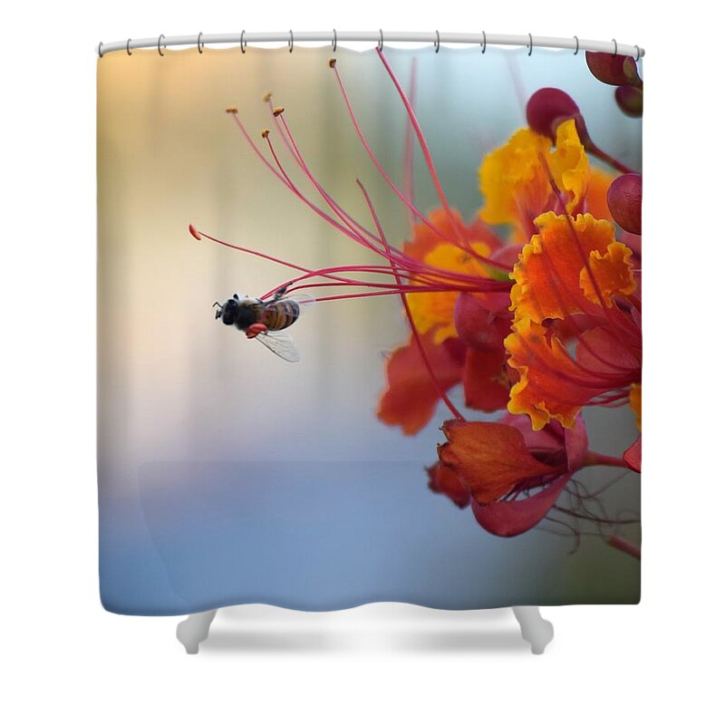 Honey Bee Shower Curtain featuring the photograph Just A Little Bit More by John Glass