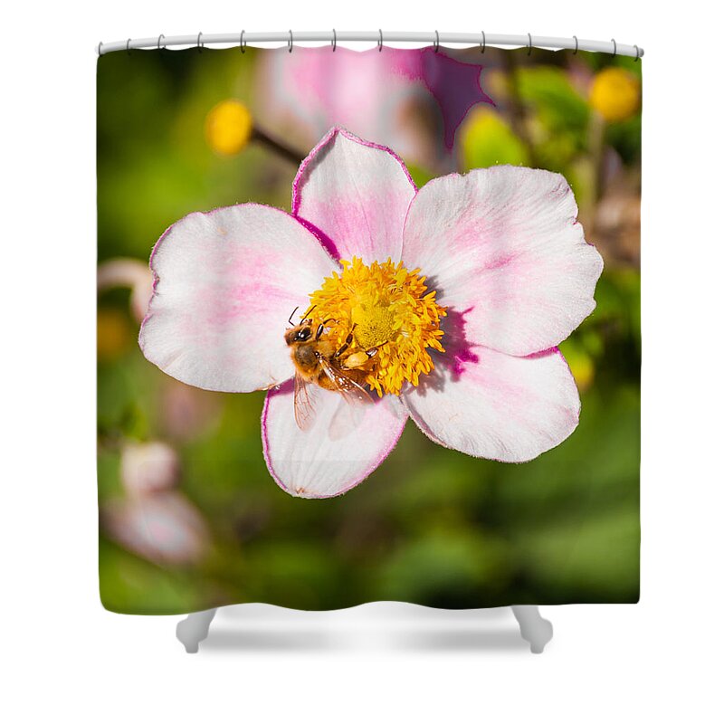 Flower Shower Curtain featuring the photograph Just A Little Sip. by Charles McCleanon