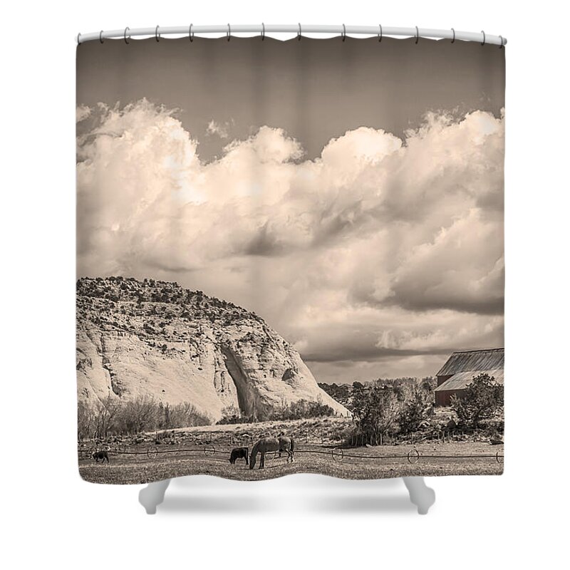 Barns Shower Curtain featuring the photograph Just an Old Western Landscape by James BO Insogna