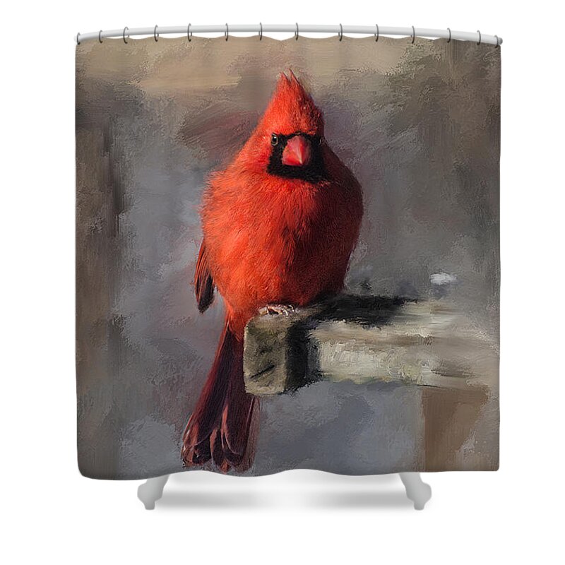 Cardinal Shower Curtain featuring the digital art Just An Ordinary Day by Lois Bryan