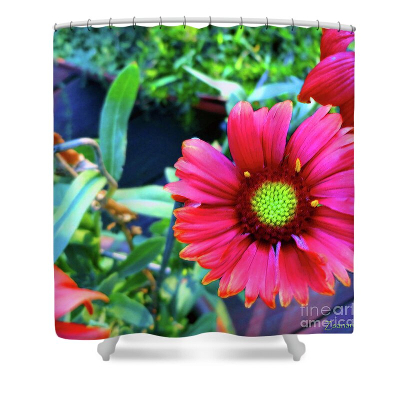 Flowers Shower Curtain featuring the mixed media Just Brilliant by Zsanan Studio
