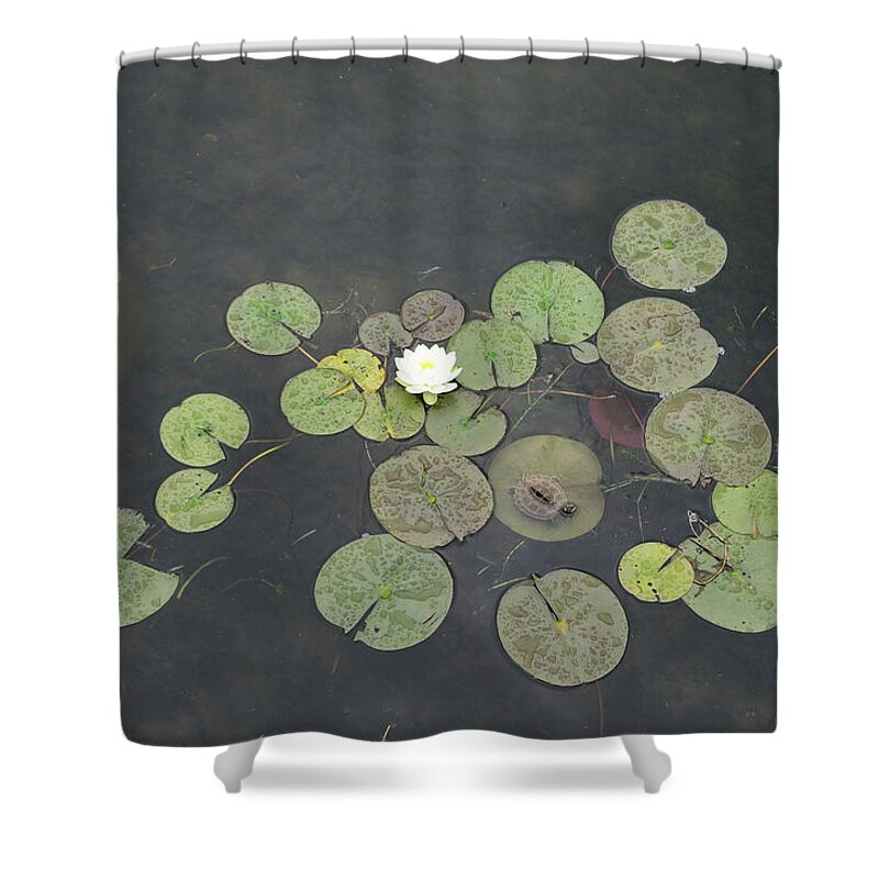 Georgia Mizuleva Shower Curtain featuring the photograph Just Chillin - A Little Turtle Relaxing on a Waterlily Leaf by Georgia Mizuleva