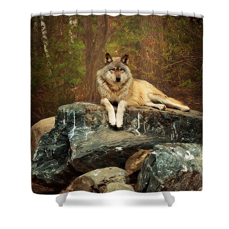 Animal Shower Curtain featuring the photograph Just Chilling by Susan Rissi Tregoning