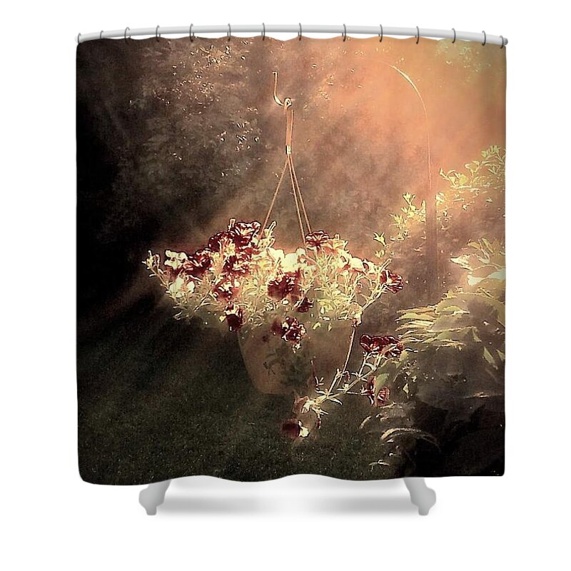 Sun Shower Curtain featuring the photograph Just Dreaming by Dani McEvoy