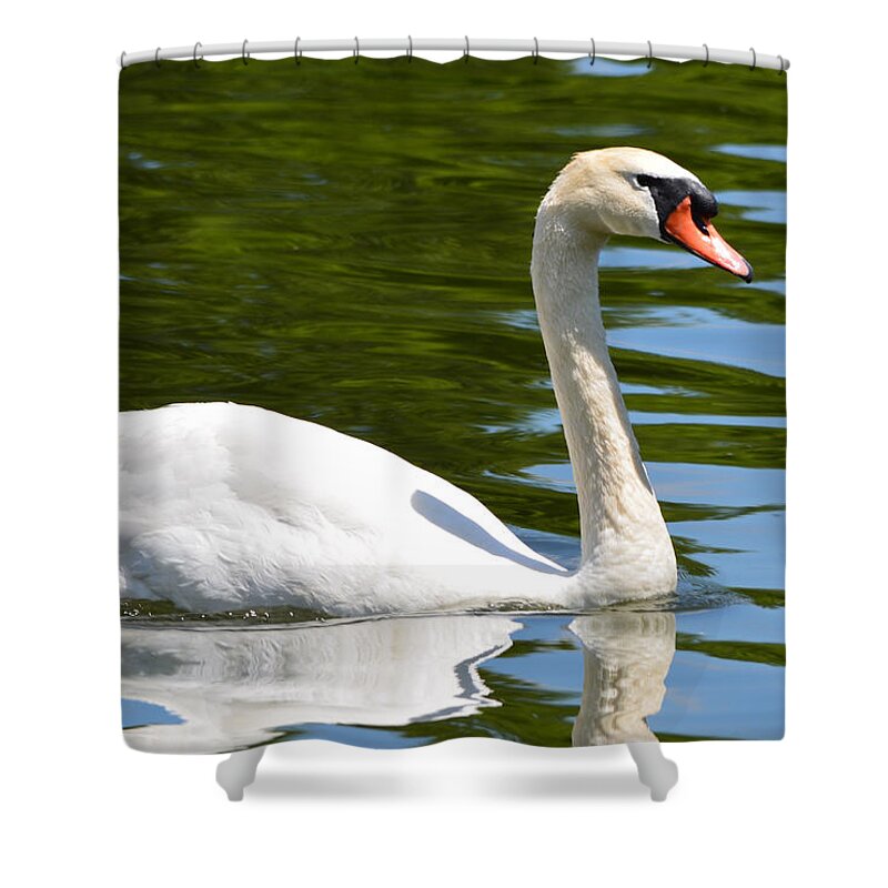 Swan Shower Curtain featuring the photograph Just One Swan A Swimming by Richard Andrews