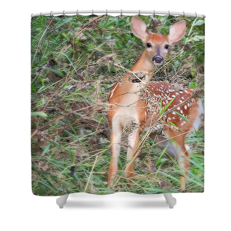 Deer Shower Curtain featuring the photograph Just Precious by Tami Quigley