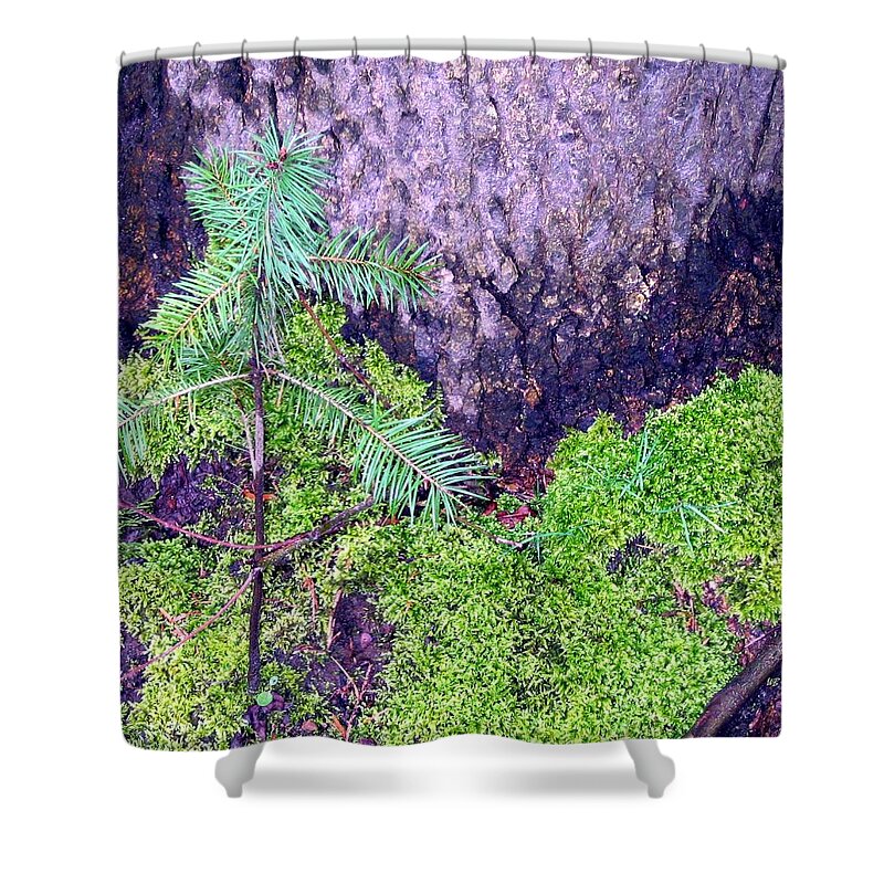 Trees Shower Curtain featuring the photograph Just Starting Out by Will Borden