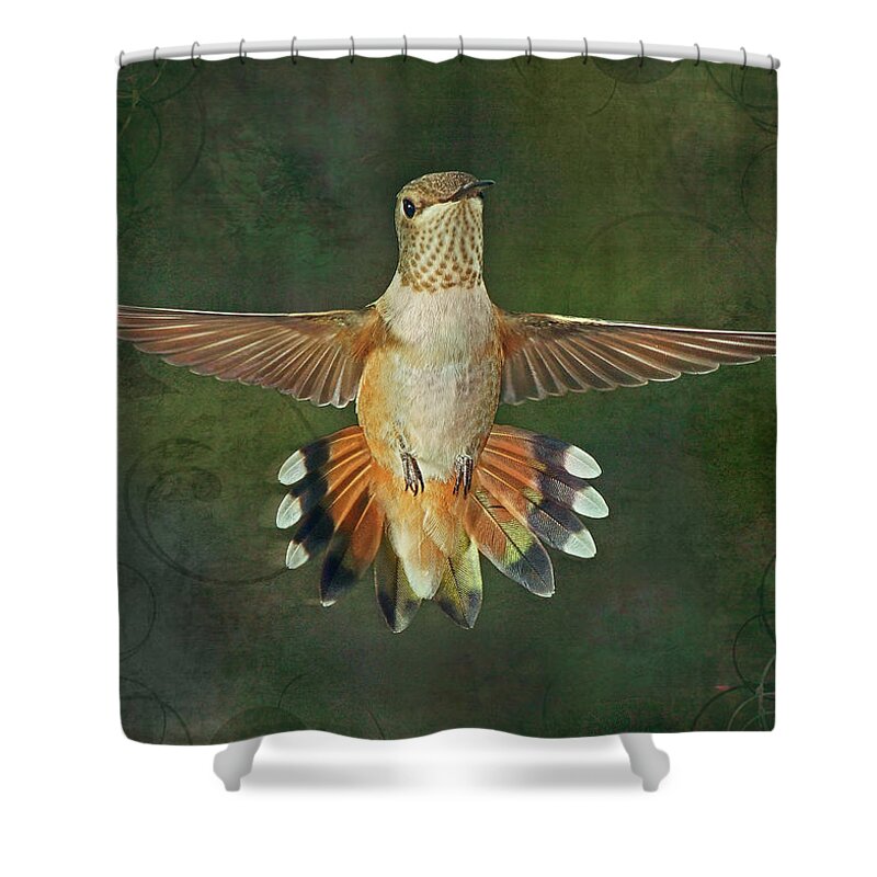 Male Rufus Hummingbird Shower Curtain featuring the photograph Just this Instant by Theo O'Connor