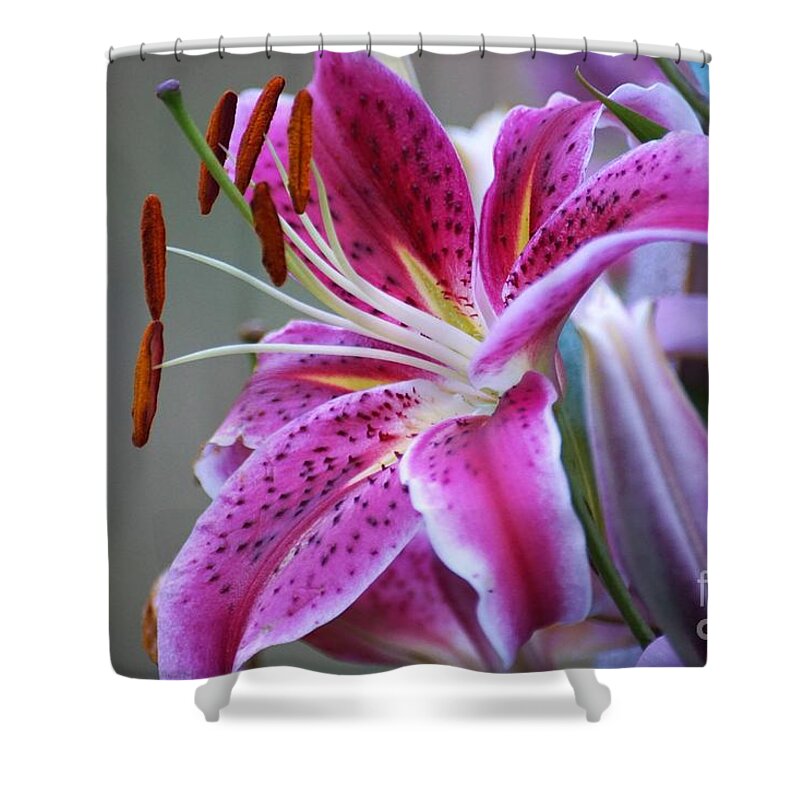 Lilly Shower Curtain featuring the photograph K and D Lilly 6 by Merle Grenz