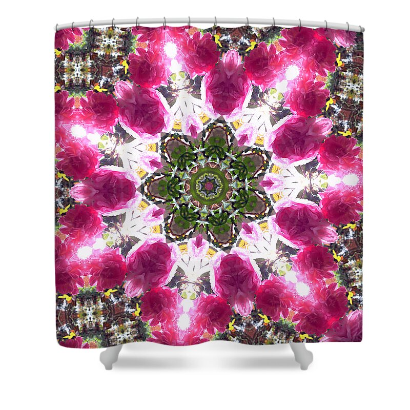Kaleidoscope Shower Curtain featuring the photograph Kaleidoscope in Multi Color Seventeen by Morgan Carter