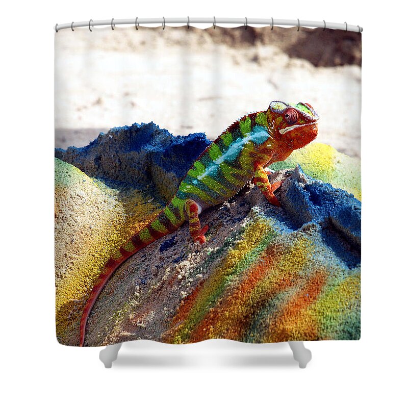 Beach Shower Curtain featuring the photograph Karma Kameleon by Bruce Gannon