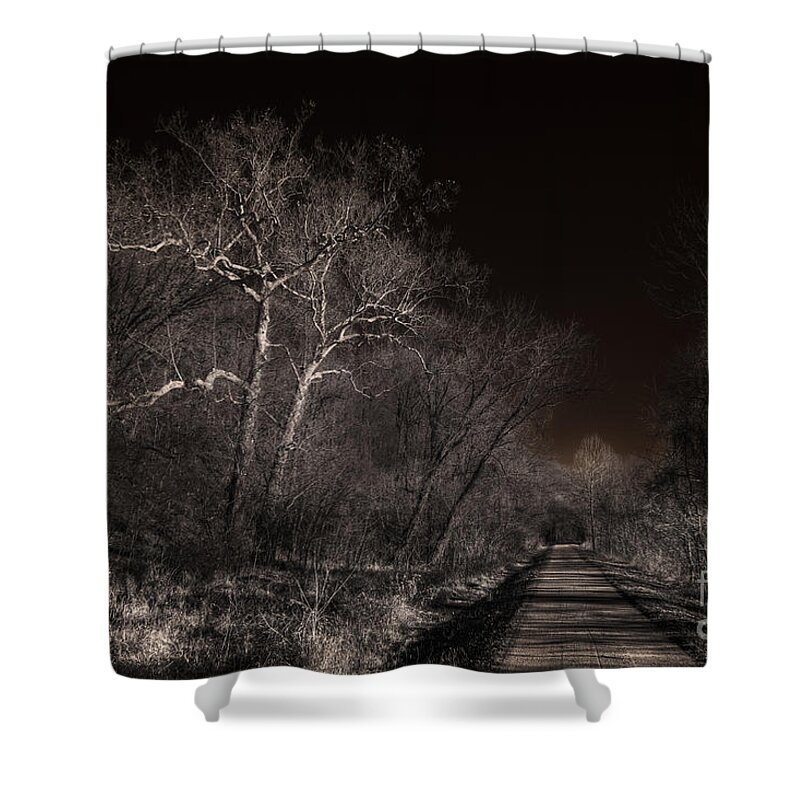 Katy Sycamores Shower Curtain featuring the digital art Katy Sycamores by William Fields