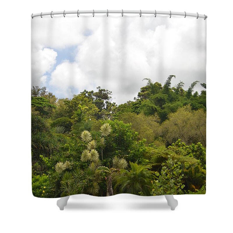 Kauai Shower Curtain featuring the photograph Kauai Hindu Monastery Greenery by Amy Fose