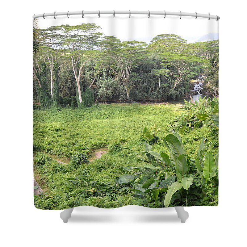 Kauai Shower Curtain featuring the photograph Kauai Hindu Monastery River Valley 2 by Amy Fose