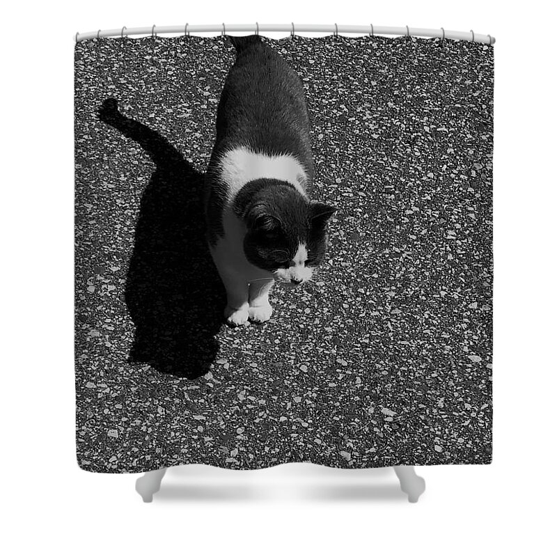  Shower Curtain featuring the photograph Keeky by Michelle Hoffmann