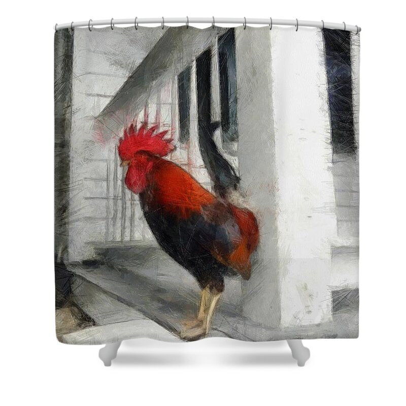 Isolated Shower Curtain featuring the photograph Key West Porch Rooster by Michelle Calkins
