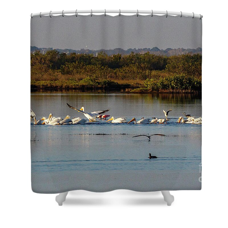Birds Shower Curtain featuring the photograph Kids playing in the water by Les Greenwood