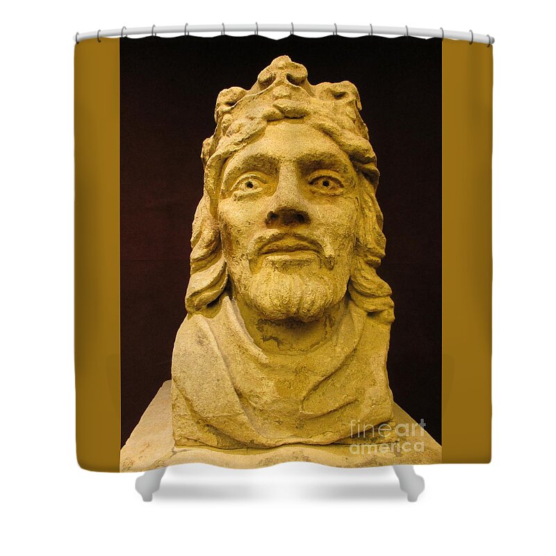 King Shower Curtain featuring the photograph King by Randall Weidner