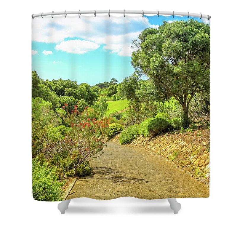Cape Town Shower Curtain featuring the photograph Kirstenbosch in Cape Town by Benny Marty