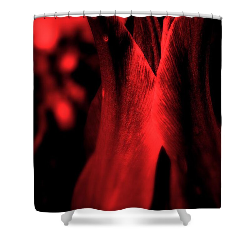 Flower Shower Curtain featuring the photograph Kiss Me You Fool by Julie Lueders 