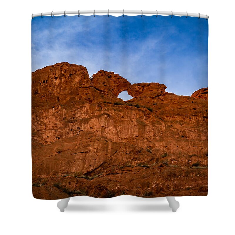 Blue Sky Shower Curtain featuring the photograph Kissing Camels in the Gardens by Ron Pate