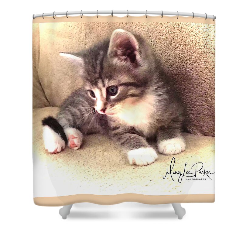 Photograph Shower Curtain featuring the photograph Kitten Deep In Thought by MaryLee Parker