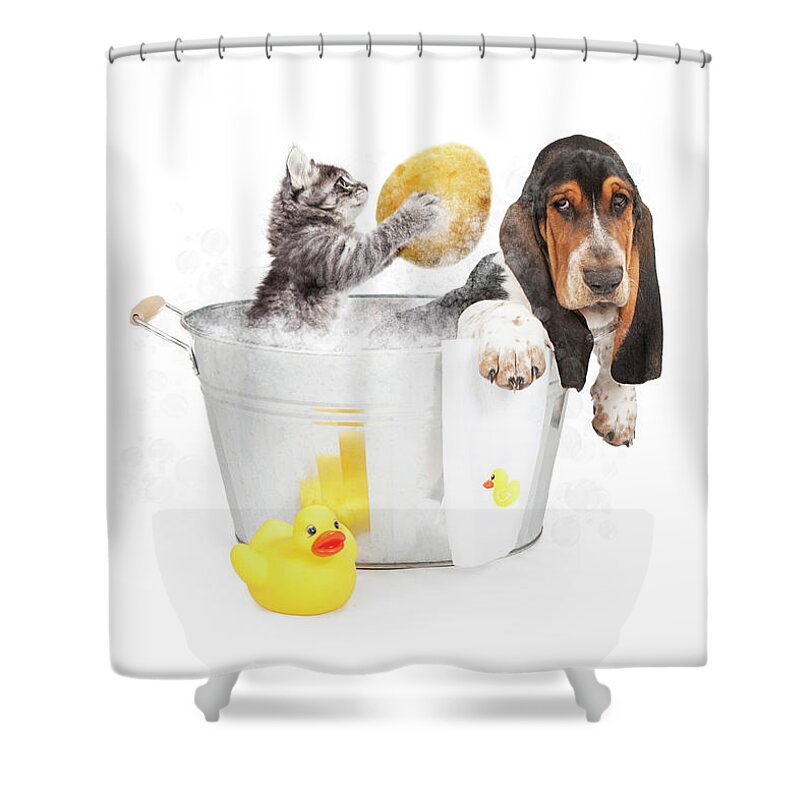 Dog Shower Curtain featuring the photograph Kitten Washing Basset Hound in Tub by Good Focused