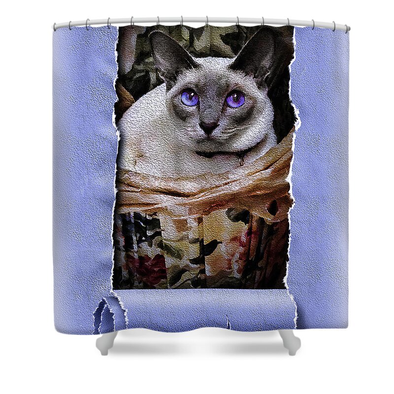 Photograph Shower Curtain featuring the photograph Kitty in a Basket by Reynaldo Williams