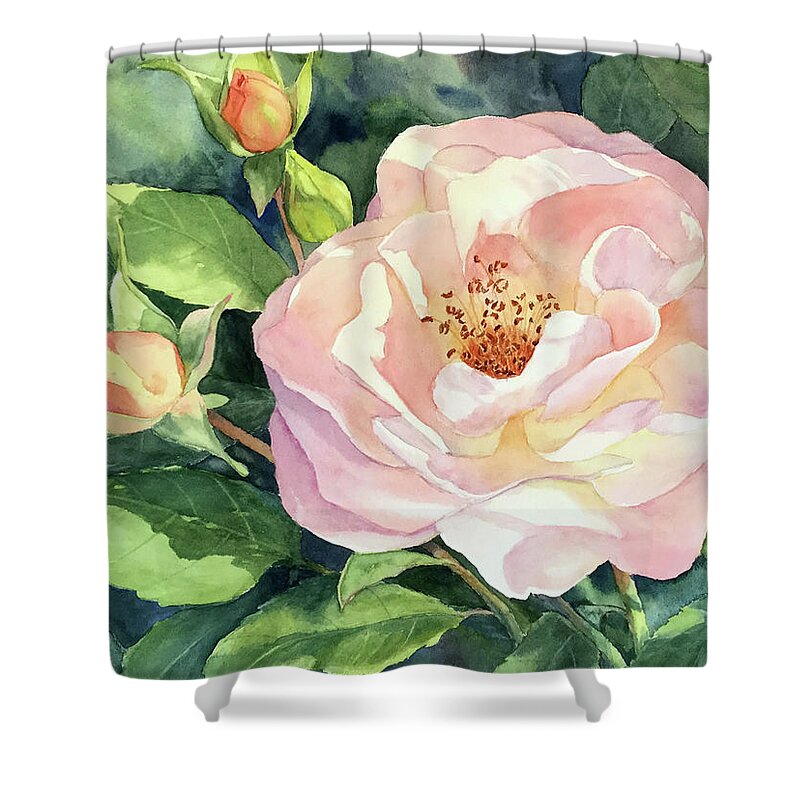 Knockout Roses Shower Curtain featuring the painting Knockout Rose and Buds by Vikki Bouffard