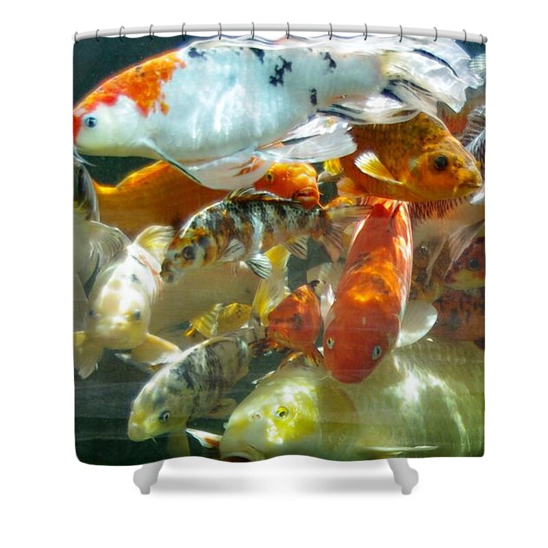 Koi Shower Curtain featuring the photograph Koi 6/7/14 Kathy 6 by Phyllis Spoor