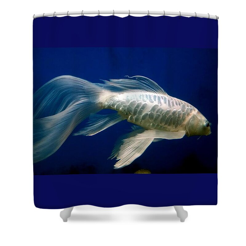 Fish Shower Curtain featuring the photograph Koi Fish by Silpa Saseendran