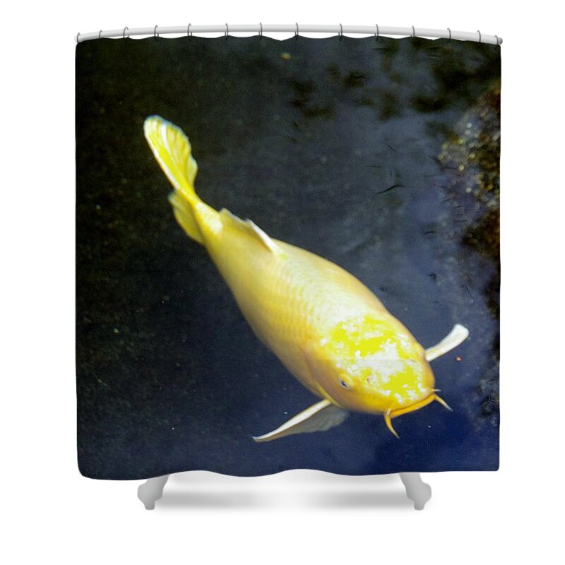 Koi Shower Curtain featuring the photograph Koi-JFG Cherry Blossom Festival 2013-1 by Phyllis Spoor