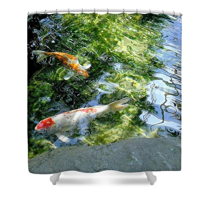 Photography Shower Curtain featuring the photograph Koi Pond by Shawn Brandon